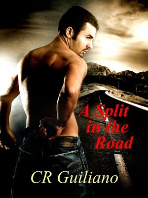 cover image of A Split in the Road, Book 3 of Vampire Wars
